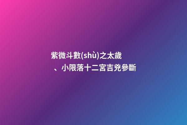 紫微斗數(shù)之太歲、小限落十二宮吉兇參斷